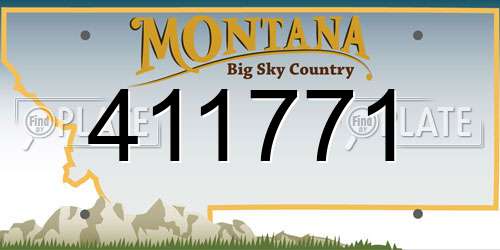 411771 Montana License Plate