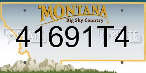 41691T4 Montana License Plate