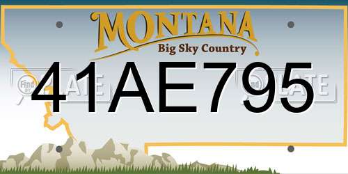 41AE795 Montana License Plate
