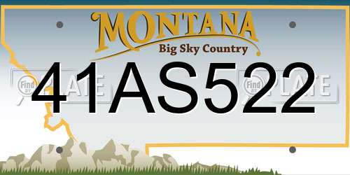 41AS522 Montana License Plate