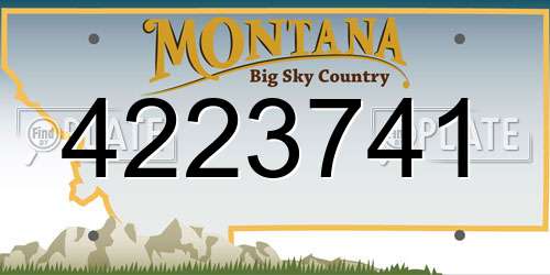 4223741 Montana License Plate