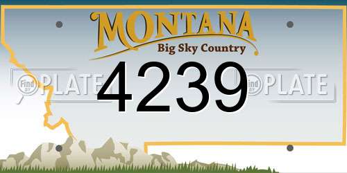 4239 Montana License Plate