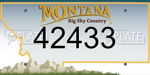 42433 Montana License Plate