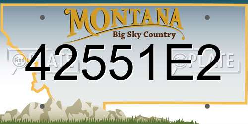 42551E2 Montana License Plate