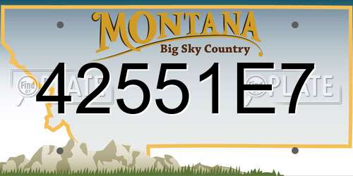 42551E7 Montana License Plate