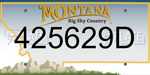 425629D Montana License Plate
