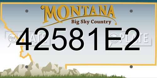 42581E2 Montana License Plate