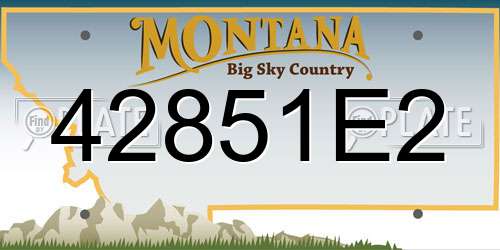 42851E2 Montana License Plate