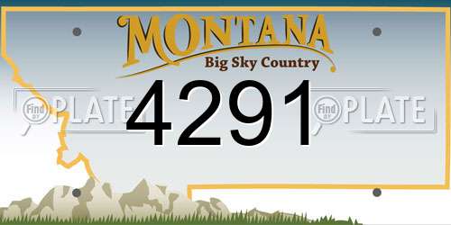 4291 Montana License Plate