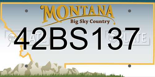42BS137 Montana License Plate