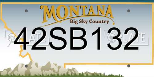 42SB132 Montana License Plate