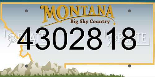 4302818 Montana License Plate