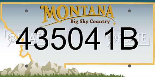 435041B Montana License Plate