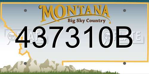 437310B Montana License Plate