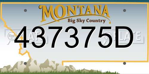 437375D Montana License Plate