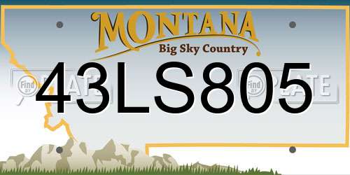 43LS805 Montana License Plate