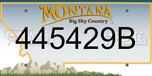 445429B Montana License Plate