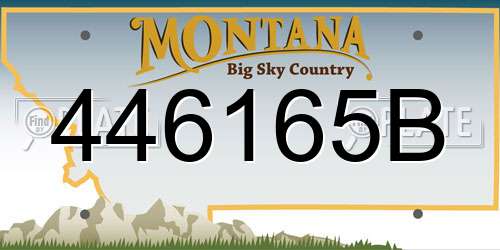 446165B Montana License Plate