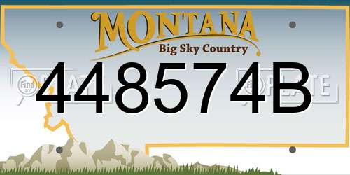 448574B Montana License Plate
