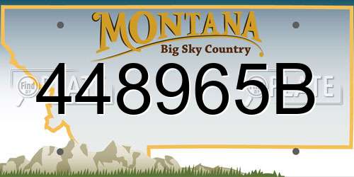 448965B Montana License Plate