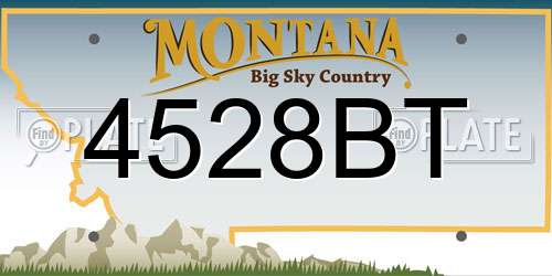 4528BT Montana License Plate