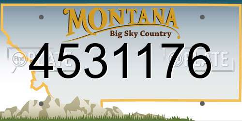 4531176 Montana License Plate