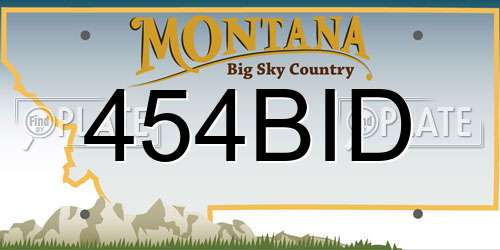 454BID Montana License Plate