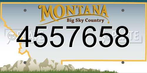 4557658 Montana License Plate