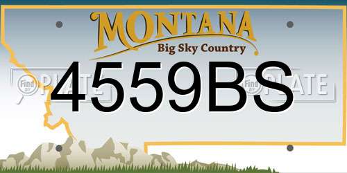 4559BS Montana License Plate