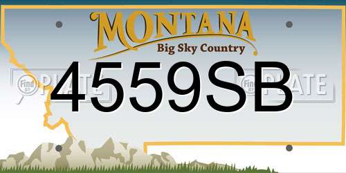 4559SB Montana License Plate