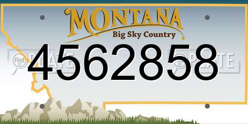 4562858 Montana License Plate