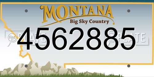 4562885 Montana License Plate