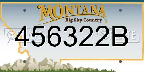 456322B Montana License Plate