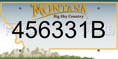456331B Montana License Plate