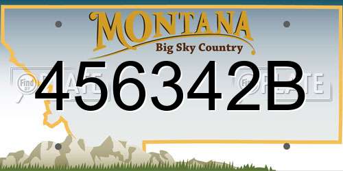 456342B Montana License Plate