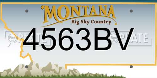 4563BV Montana License Plate