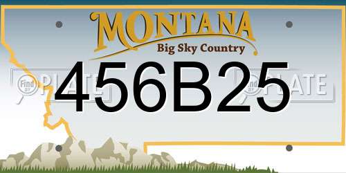 456B25 Montana License Plate