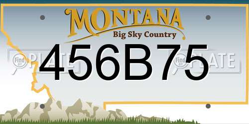 456B75 Montana License Plate