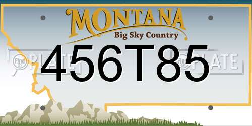 456T85 Montana License Plate