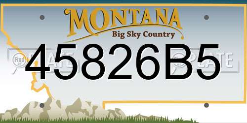 45826B5 Montana License Plate