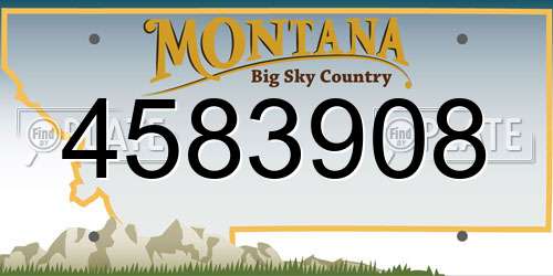 4583908 Montana License Plate