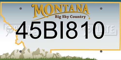 45BI810 Montana License Plate