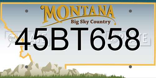 45BT658 Montana License Plate