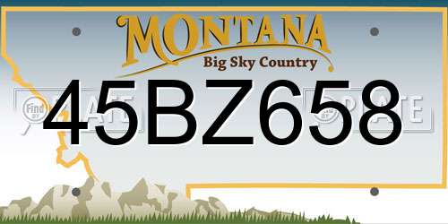45BZ658 Montana License Plate