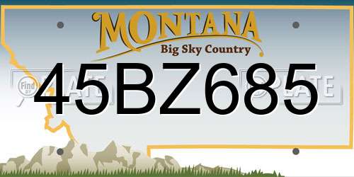 45BZ685 Montana License Plate