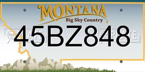 45BZ848 Montana License Plate