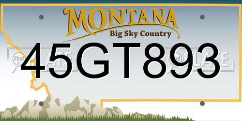 45GT893 Montana License Plate