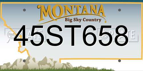 45ST658 Montana License Plate