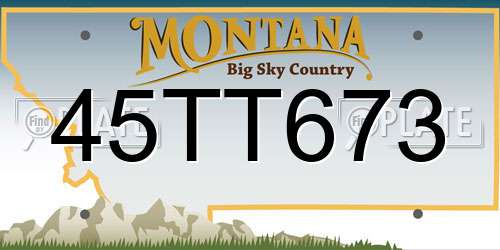 45TT673 Montana License Plate
