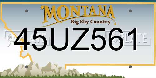 45UZ561 Montana License Plate